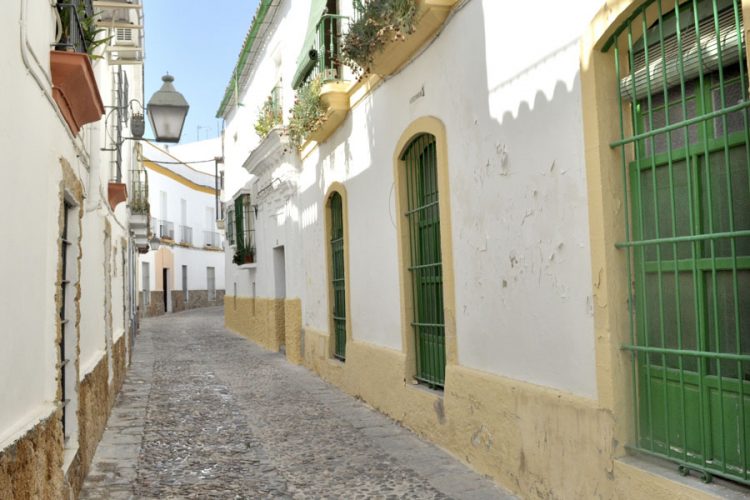 Adelante Jerez presenta un ambicioso plan de acción municipal con propuestas para hacer frente a la crisis