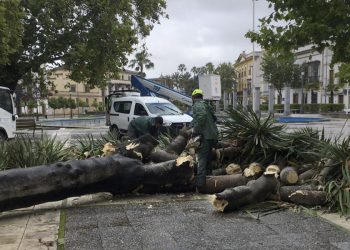 Se atienden unas 50 incidencias por el temporal de lluvia y viento en Jerez