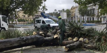 Se atienden unas 50 incidencias por el temporal de lluvia y viento en Jerez