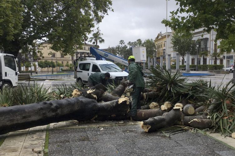 Se atienden unas 50 incidencias por el temporal de lluvia y viento en Jerez