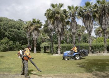 El Ayuntamiento afianza la mejora de las zonas verdes en los colegios públicos