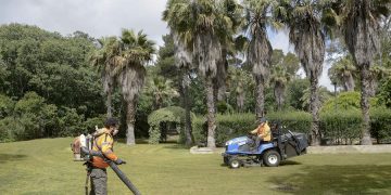 El Ayuntamiento afianza la mejora de las zonas verdes en los colegios públicos