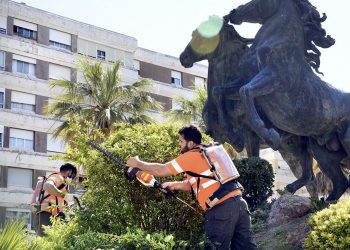 Se realizan mejoras en los árboles y plantas de la Plaza del Caballo