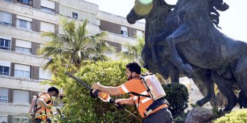 Se realizan mejoras en los árboles y plantas de la Plaza del Caballo