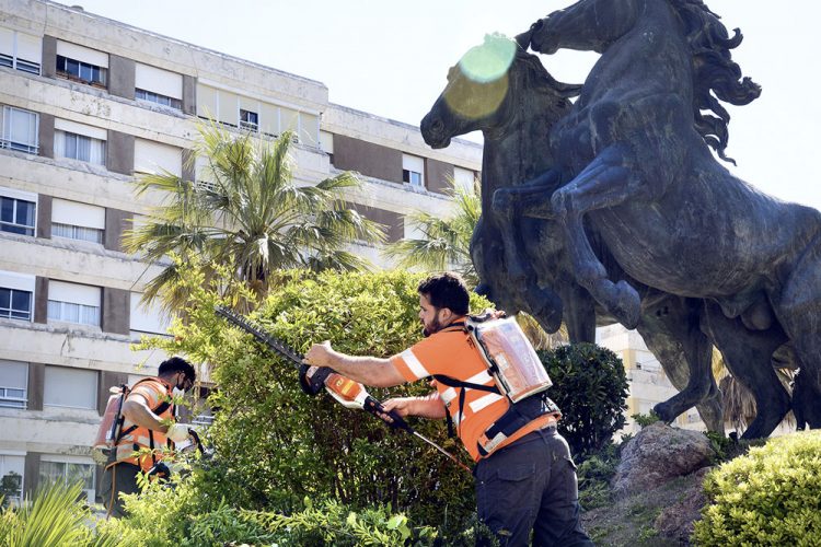 Se realizan mejoras en los árboles y plantas de la Plaza del Caballo