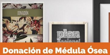 El trasplante de médula ósea ha crecido un 50% en la última década en España