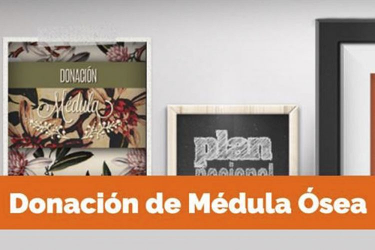 El trasplante de médula ósea ha crecido un 50% en la última década en España