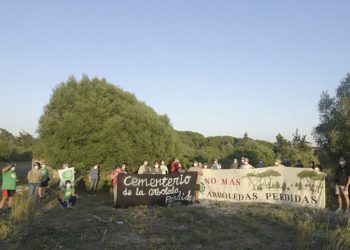 El Puerto. Pretenden construir 1.260 viviendas en uno de los mejores bosques de la Bahía de Cádiz