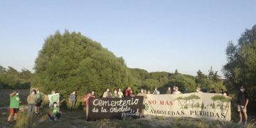 El Puerto. Pretenden construir 1.260 viviendas en uno de los mejores bosques de la Bahía de Cádiz