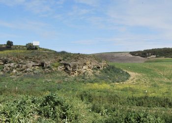 En marcha el Plan director de Mesas de Asta en colaboración con la UCA