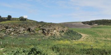 En marcha el Plan director de Mesas de Asta en colaboración con la UCA