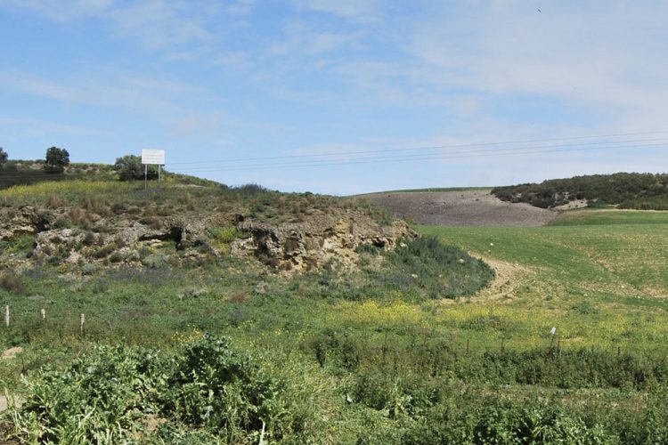 En marcha el Plan director de Mesas de Asta en colaboración con la UCA