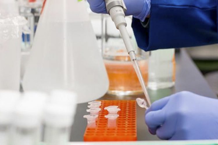 España ha realizado más de 2,5 millones de PCR desde el inicio de la epidemia