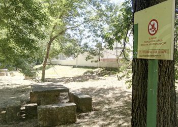 Prohibidas las barbacoas y quemas agrícolas en los espacios forestales de Andalucía