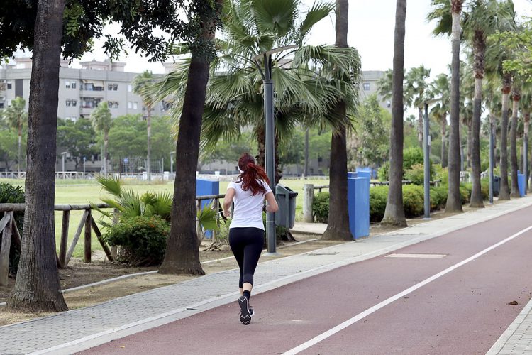 El lunes se abre el Cementerio a las visitas y el martes, el Complejo Chapín