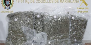Policía Local y Guardia Civil intervienen unos 20 kilos de cogollos de marihuana