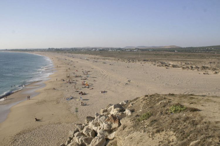 Piden la anulación del Informe Ambiental favorable a la urbanización del Pinar de Barbate y de Trafalgar