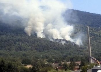 Detenido el presunto autor del incendio forestal del Parque Nacional del Guadarrama del verano pasado