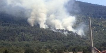 Detenido el presunto autor del incendio forestal del Parque Nacional del Guadarrama del verano pasado