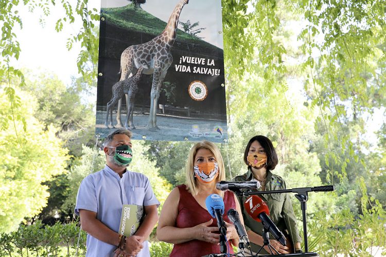 El zoo reabre con nuevas normas y medidas de seguridad