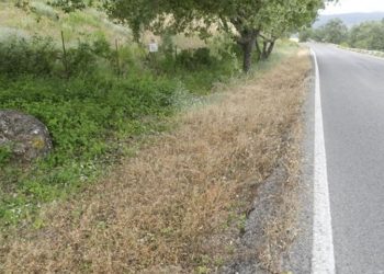 La Junta fumiga el Parque Natural Sierra de Grazalema con un herbicida potencialmente cancerígeno