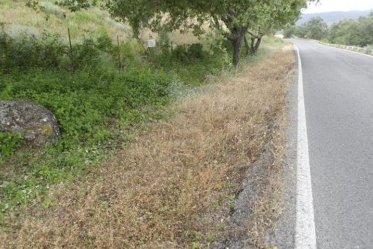 La Junta fumiga el Parque Natural Sierra de Grazalema con un herbicida potencialmente cancerígeno