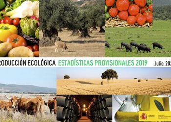 La superficie ecológica crece el 4,8 % en 2019 y se sitúa en 2,35 millones de hectáreas