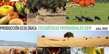 La superficie ecológica crece el 4,8 % en 2019 y se sitúa en 2,35 millones de hectáreas
