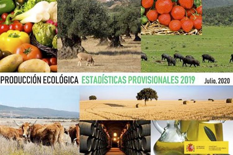 La superficie ecológica crece el 4,8 % en 2019 y se sitúa en 2,35 millones de hectáreas