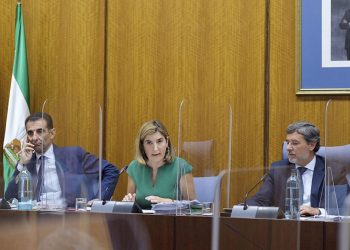 Incentivos de hasta 6.600 euros para contratos indefinidos que contemplen el teletrabajo