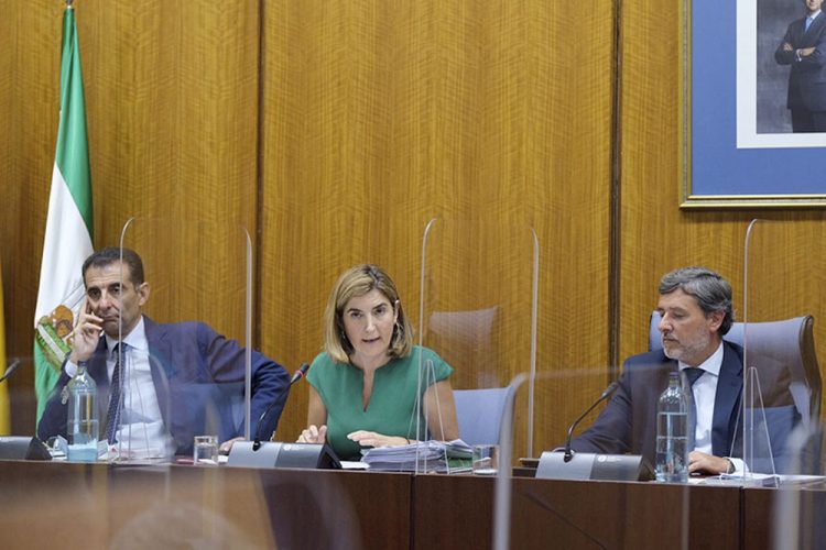 Incentivos de hasta 6.600 euros para contratos indefinidos que contemplen el teletrabajo
