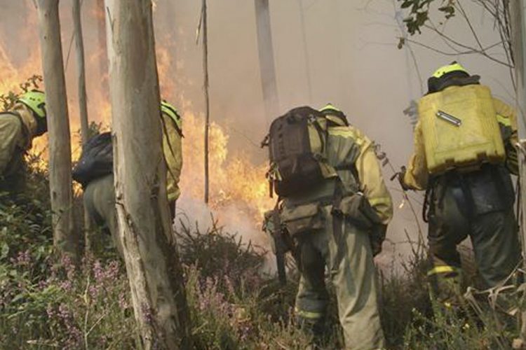 El MITECO despliega una brigada y medios aéreos para colaborar en la extinción del incendio declarado en Rubiá (Ourense)