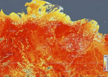 Alarma por récord de temperatura de 38 °C en el Ártico