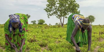 Un ingreso básico temporal desaceleraría el avance de la pandemia de COVID-19