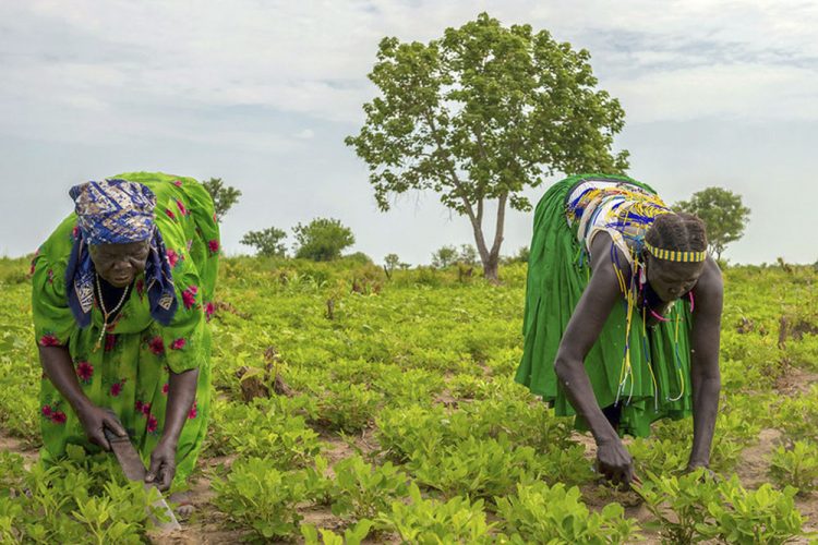 Un ingreso básico temporal desaceleraría el avance de la pandemia de COVID-19
