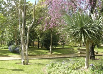 El Zoobotánico trabaja ya con el plan de actuación enviado por la Junta de Andalucía para reabrir las instalaciones la próxima semana