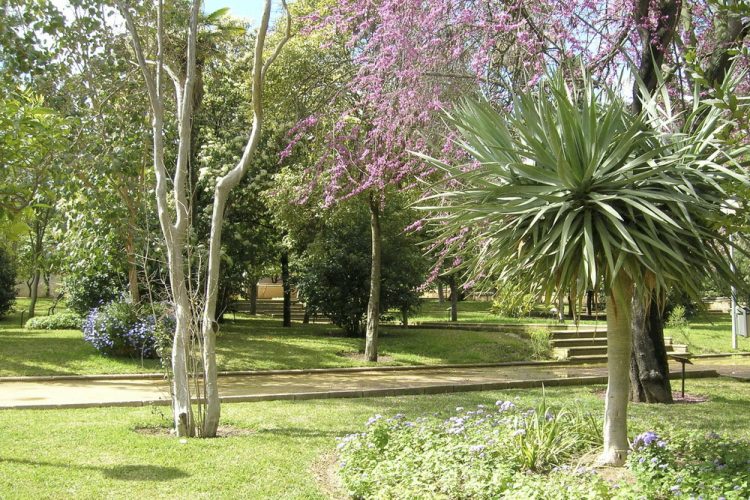 El Zoobotánico trabaja ya con el plan de actuación enviado por la Junta de Andalucía para reabrir las instalaciones la próxima semana