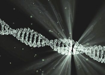 Descifrada la estructura de la proteína clave que repara daños del ADN por radiaciones ultravioleta o quimioterapia