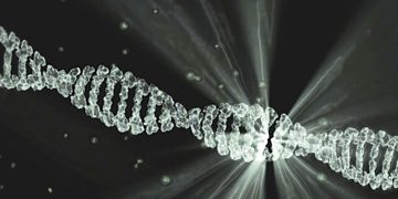 Descifrada la estructura de la proteína clave que repara daños del ADN por radiaciones ultravioleta o quimioterapia