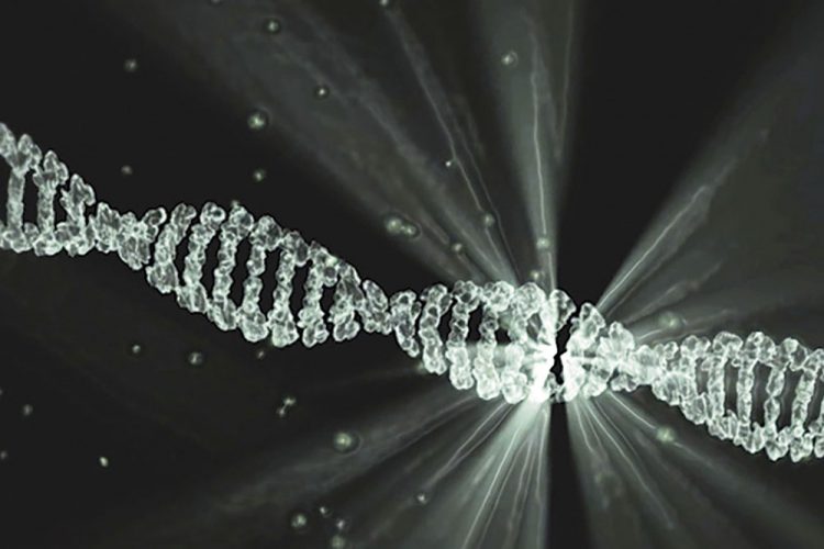 Descifrada la estructura de la proteína clave que repara daños del ADN por radiaciones ultravioleta o quimioterapia