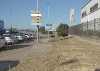 Finaliza el adecentamiento integral de Reina Sofía y entorno de la rotonda del Tanatorio