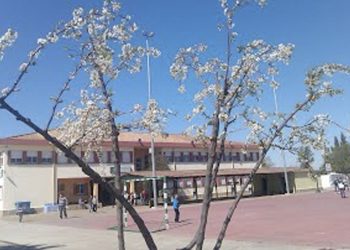 Dos positivos detectados en el CEIP de Nueva Jarilla