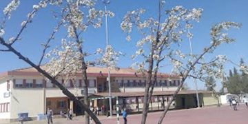 Dos positivos detectados en el CEIP de Nueva Jarilla