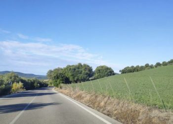 Prohibido el uso de glifosato en los parques naturales de la provincia