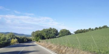 Prohibido el uso de glifosato en los parques naturales de la provincia