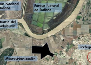 El Consejo de Transparencia obliga a una nueva tramitación de la macrourbanización de Trebujena