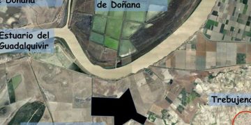 El Consejo de Transparencia obliga a una nueva tramitación de la macrourbanización de Trebujena