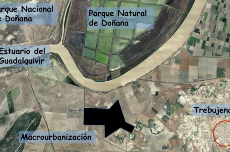 El Consejo de Transparencia obliga a una nueva tramitación de la macrourbanización de Trebujena
