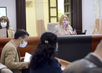 El Pleno adapta su contenido y sólo aborda los asuntos más urgentes y los relacionados con la COVID-19