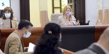 El Pleno adapta su contenido y sólo aborda los asuntos más urgentes y los relacionados con la COVID-19